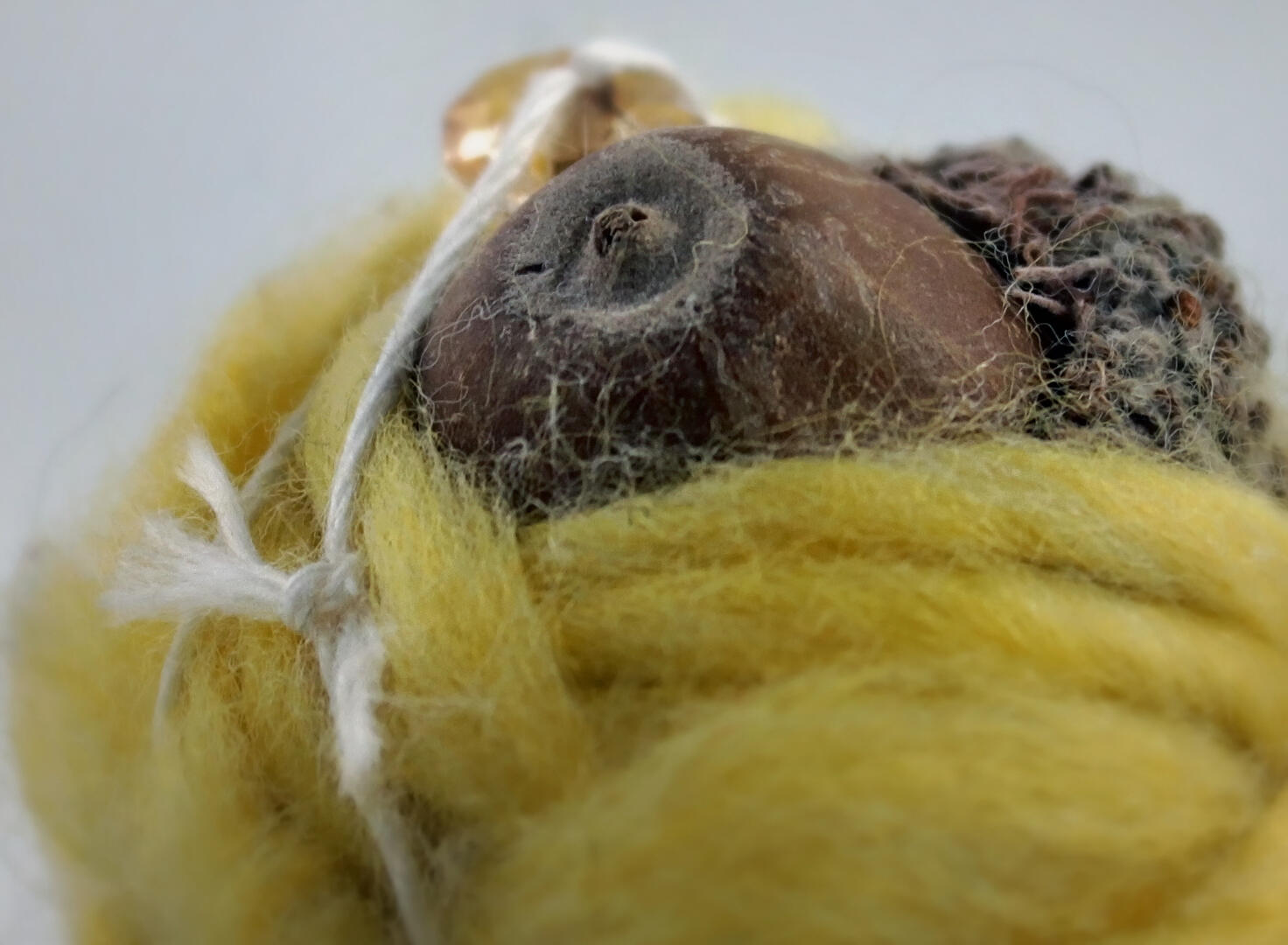 Acorn holder, 2021, yarn, string, bead, and acorn